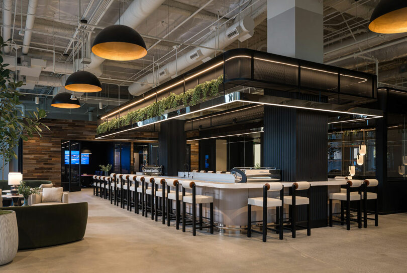 Modern coffee shop interior with a long counter and high chairs, black ceiling lights, greenery on top shelves, and a mix of wood and black finishes.