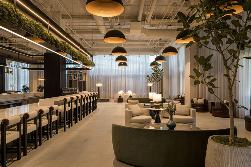 A modern lounge with an open layout features a long bar with stools, round tables with chairs and sofas, large windows with sheer curtains, greenery accents, and multiple hanging pendant lights.