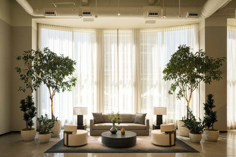 A modern living room features a large bay window with sheer curtains, a gray sofa, two white chairs, a coffee table, and several potted plants.