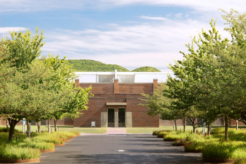 Tree-lined entrance to brick building