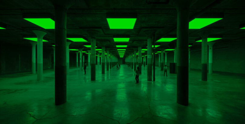 Visitors standing in installation with green light